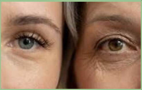 Anti Ageing Diet Anti Ageing Diet